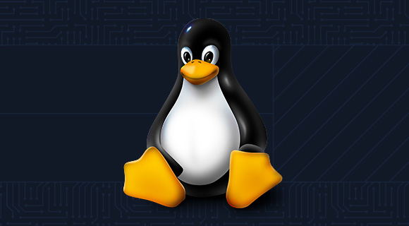 Hack the Box main-card asset